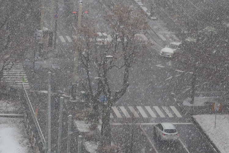 札幌の風景　2022年11月30日　8時5分　　雪_f0362073_08123868.jpg