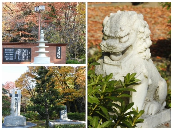 『岐阜公園までの風景と野鳥』_d0054276_20144806.jpg