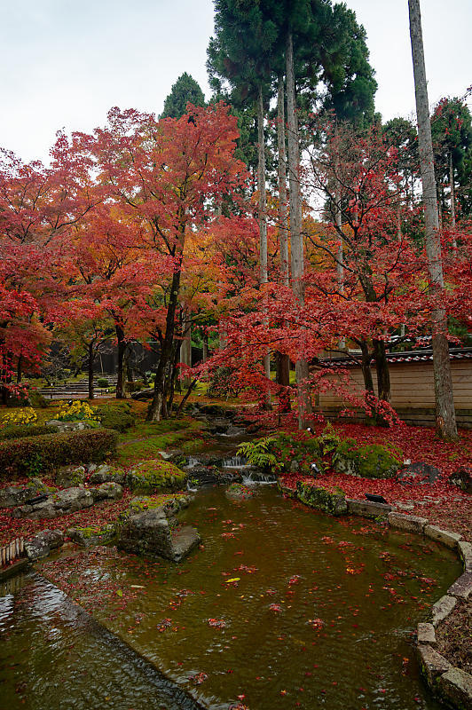 2022京都の紅葉＠鷹峯　しょうざんリゾート_f0032011_10525291.jpg