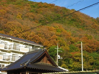 屋根の上に長尾山の黄葉_e0175370_21463051.jpg