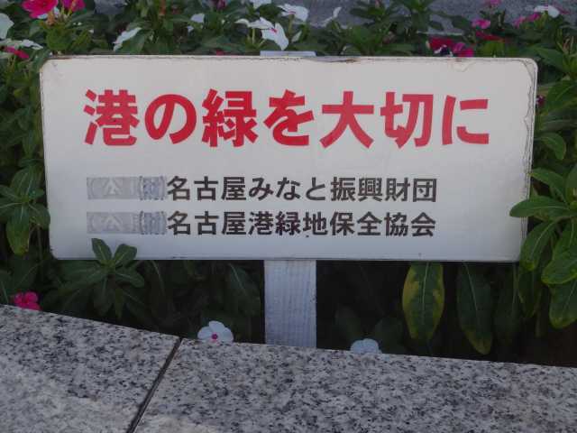 名古屋港水族館前花壇の植栽R4.11.14_d0338682_08115367.jpg