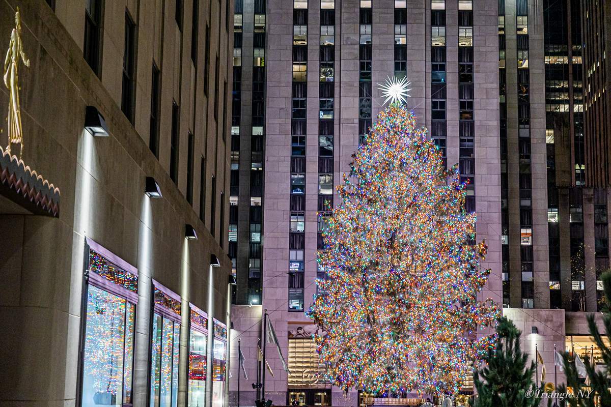 Rockefeller Center Christmas Tree Lighting 2022_a0274805_03242860.jpg