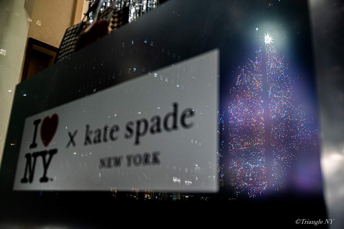 Rockefeller Center Christmas Tree Lighting 2022_a0274805_03273055.jpg