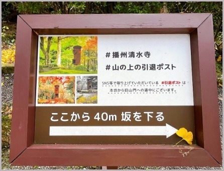播州清水寺へ、黄色い絨毯を見たくなって_d0017632_00191054.jpeg