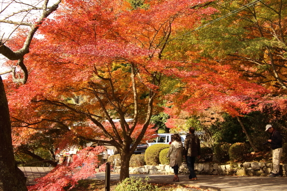 湖東三山(百済寺)_b0242358_15115101.jpg