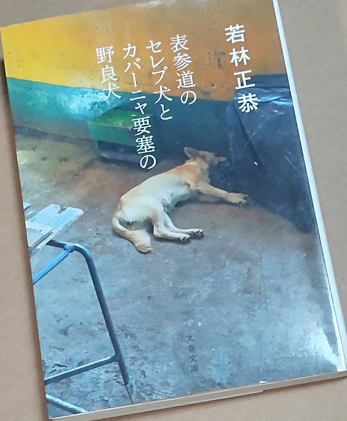 若林正恭『表参道のセレブ犬とカバーニャ要塞の野良犬』 キューバ