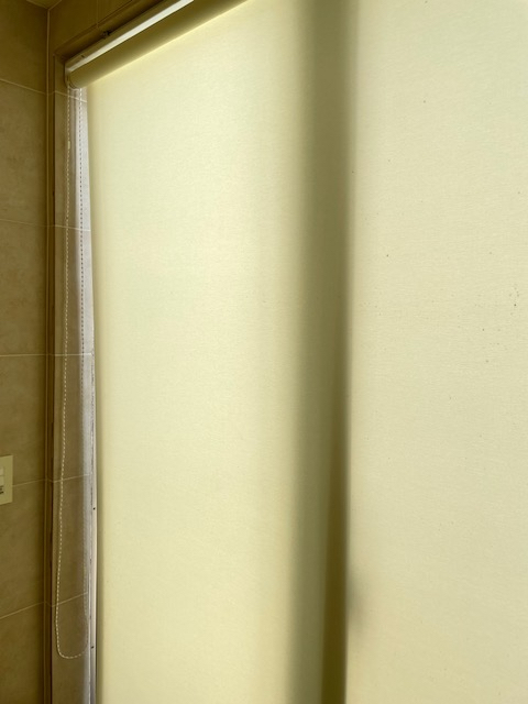 洗面室のタチカワブラインド製『ロールスクリーン』の『クリーニング』を承りました　by interior styling of bright_c0157866_17145157.jpg