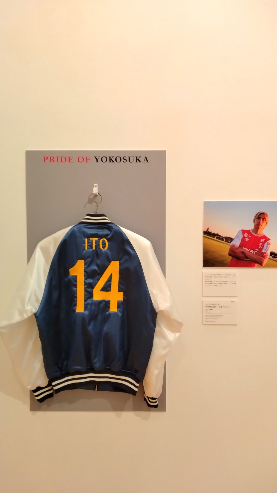 PRIDE OF YOKOSUKA　スカジャン展@横須賀美術館に行ってきた！_c0002171_15172418.jpg