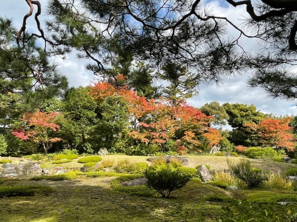 関西方面～京都にて＾＾_a0211886_01304750.jpg