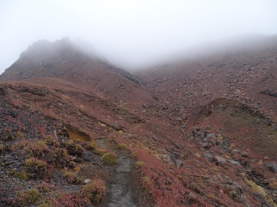 砂千里から中岳、高岳の周回、3日。_f0357487_12100341.jpeg