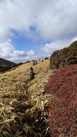 泉水山・上泉水山・黒岩山・大崩ノ辻・おにぎり山・小にぎり山_f0193521_10202182.jpg