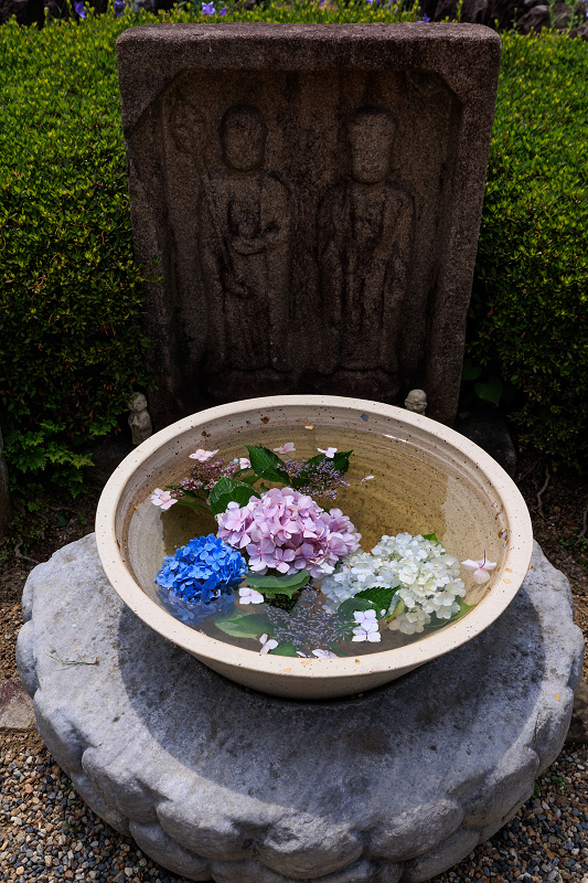 元興寺の桔梗と初夏の花々_f0155048_23111133.jpg