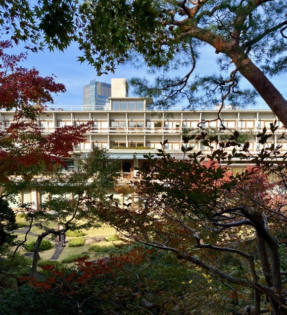秋の日本庭園に虹が見れた&#127752; _c0128489_14074385.jpeg