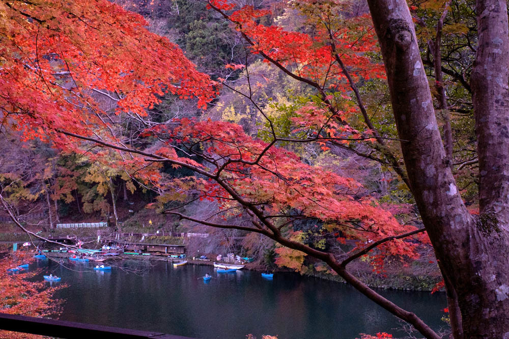 京都嵐山３_a0251508_20124477.jpg