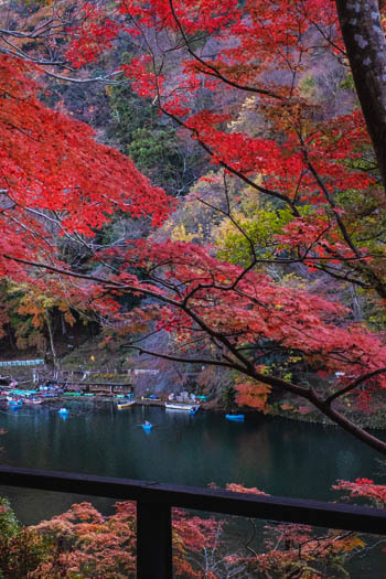 京都嵐山３_a0251508_20142993.jpg