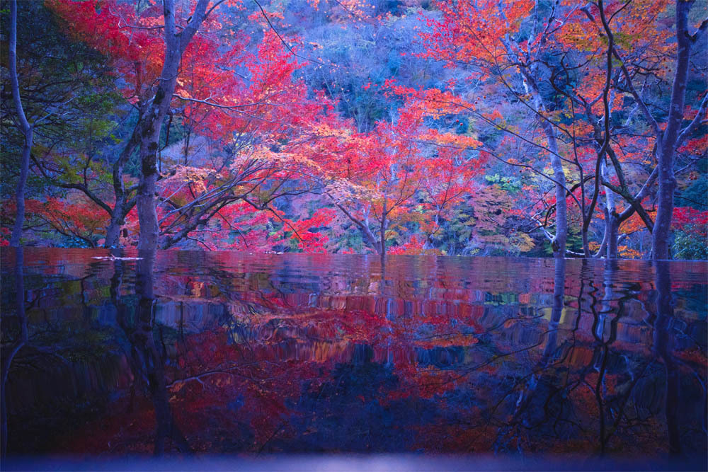 京都嵐山３_a0251508_20150211.jpg