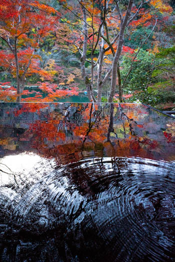 京都嵐山３_a0251508_20153687.jpg