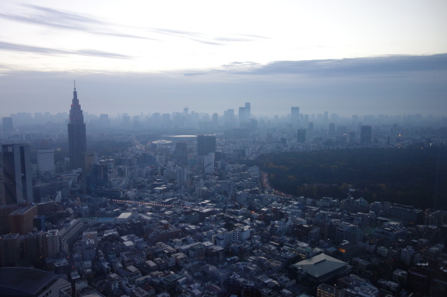 １２月の「パークハイアット東京」　（３）　「デラックスルームツイン」の続き、「ニューヨークグリル」、「ニューヨークバー」、部屋からの景色_b0405262_13183095.jpg