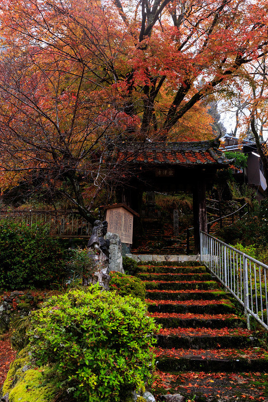 2022紅葉煌めく京都　雨の紅葉寺_f0155048_21503149.jpg