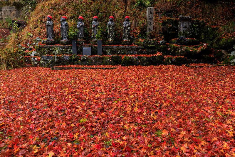 2022紅葉煌めく京都　雨の紅葉寺_f0155048_21522721.jpg