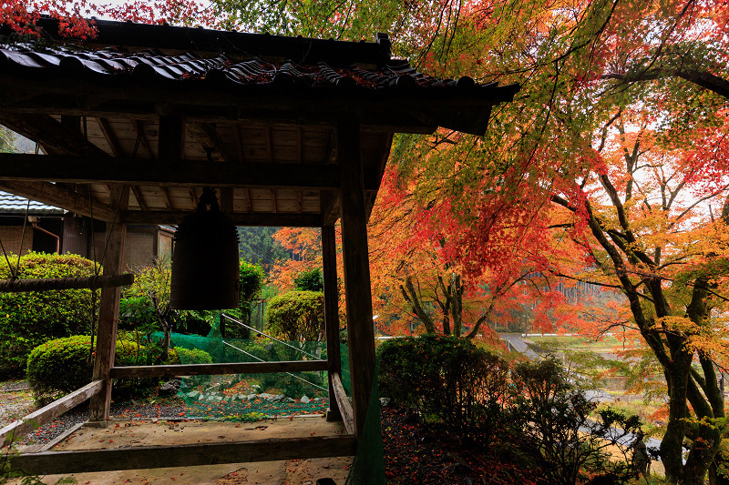 2022紅葉煌めく京都　雨の紅葉寺_f0155048_21554659.jpg