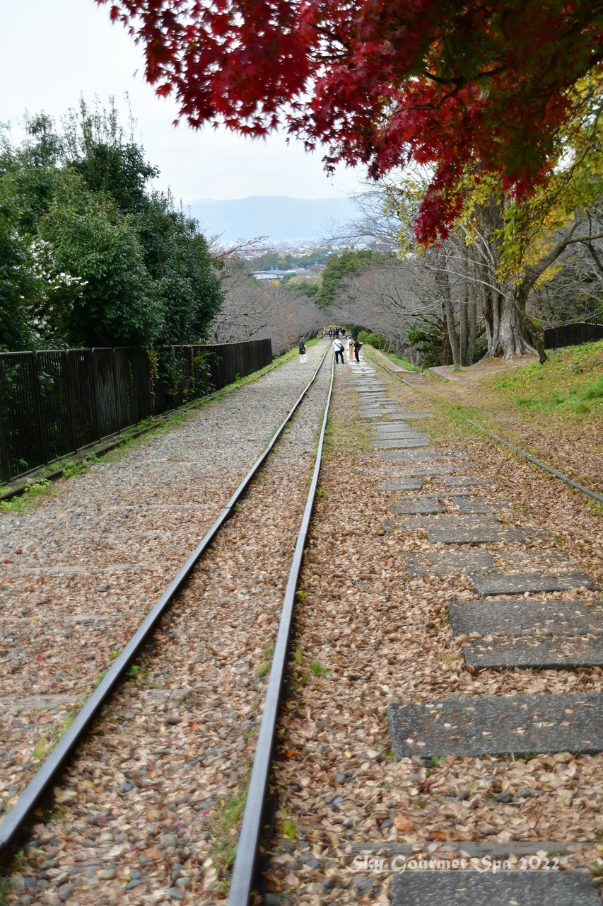 ◆ 鳥取を目指して、その25「定番の南禅寺」へ（2022年11月）_d0316868_22535109.jpg