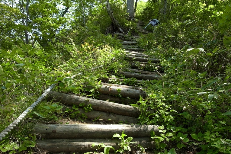 神居尻山（Ｂ～Ｃコース）_a0270291_20053222.jpg