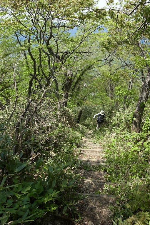 神居尻山（Ｂ～Ｃコース）_a0270291_20180884.jpg