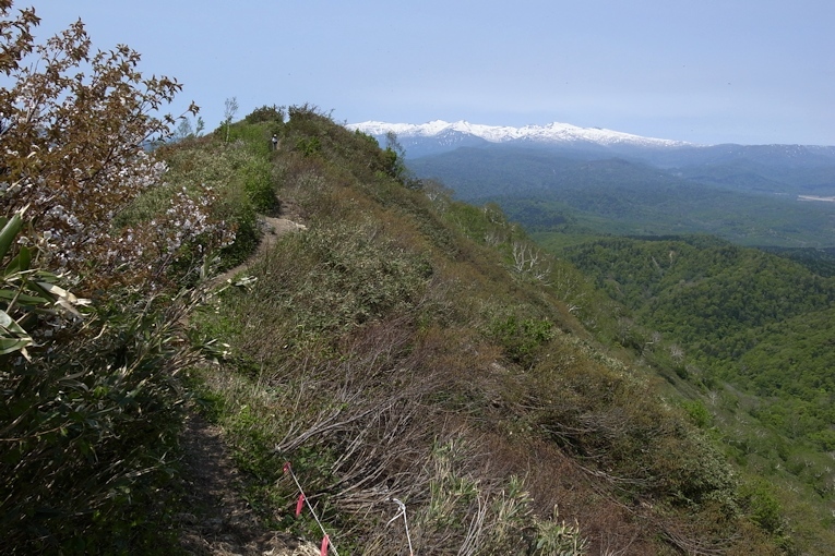 神居尻山（Ｂ～Ｃコース）_a0270291_20235379.jpg