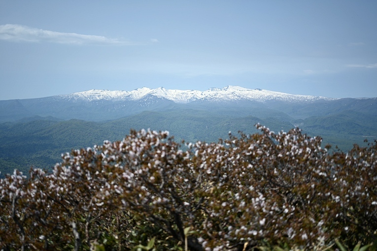 神居尻山（Ｂ～Ｃコース）_a0270291_20481714.jpg