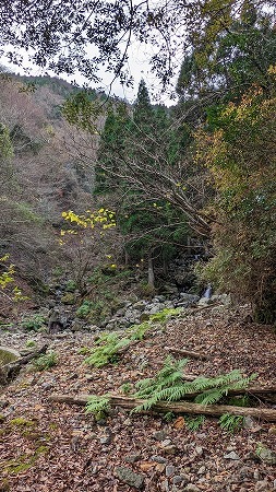 柏川林道（洞が岳・京丈山）下調べに_f0193521_18530881.jpg