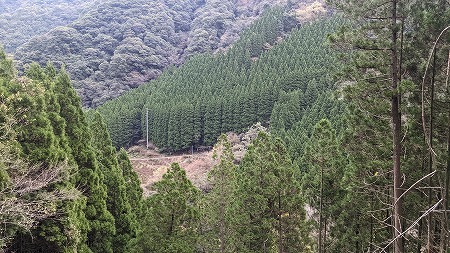 柏川林道（洞が岳・京丈山）下調べに_f0193521_18541190.jpg