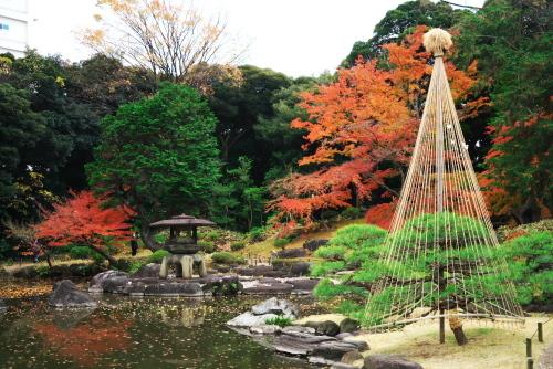 旧古河庭園の薔薇と紅葉2_a0263109_13104853.jpg