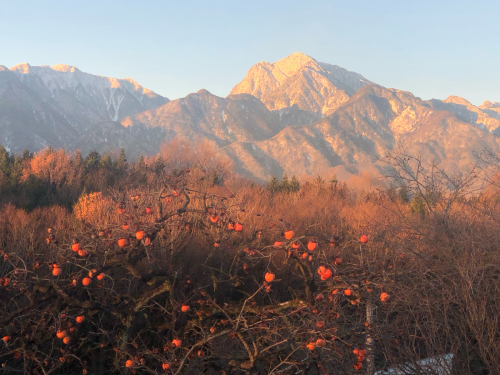 真冬の厳冬の甲斐駒ヶ岳、最高の景色。_d0338282_08264789.jpg