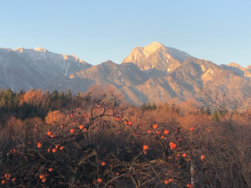真冬の厳冬の甲斐駒ヶ岳、最高の景色。_d0338282_08264958.jpg