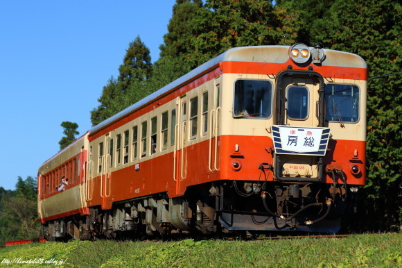 矢沢と撮り鉄、両立させるヤツ　３　～輝く矢沢の金看板～_c0299025_21080143.jpg