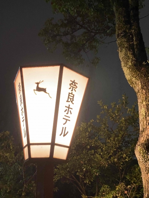 夜のティーラウンジで ～奈良ホテル～_a0169902_23252275.jpg
