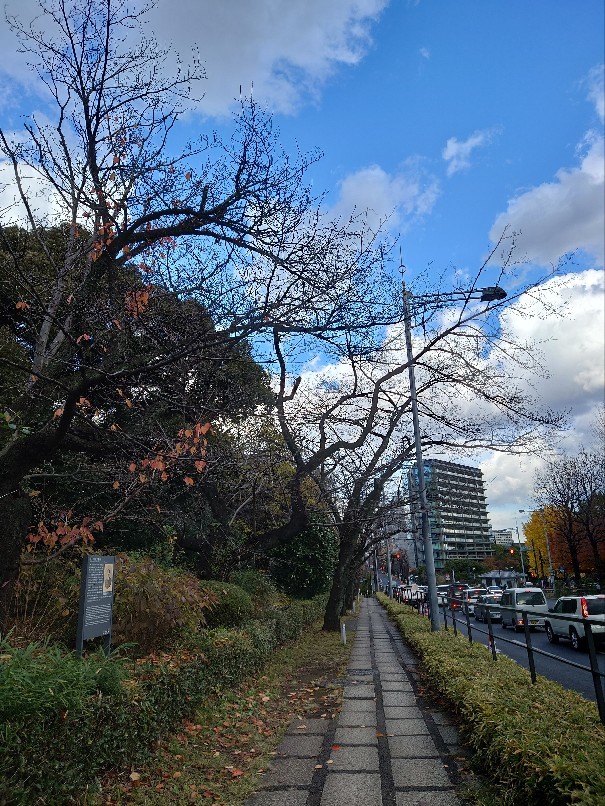 赤坂見附から靖国神社まで散歩しつみた_b0237229_12434368.jpg