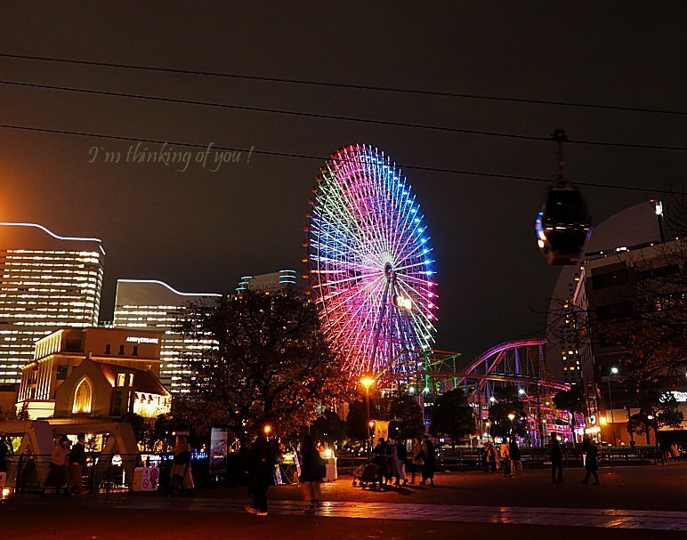 横浜夜景☆彡_c0311178_13502035.jpg