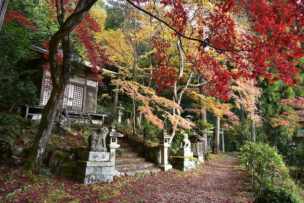 2022年紅葉の旅Ⅹ＋可愛いイルミネーションその１_e0367330_17260805.jpg