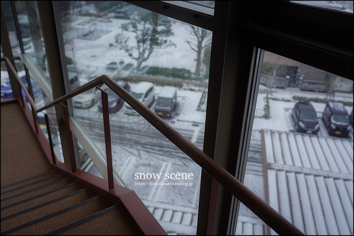 窓からの雪景色_f0100215_18002562.jpg