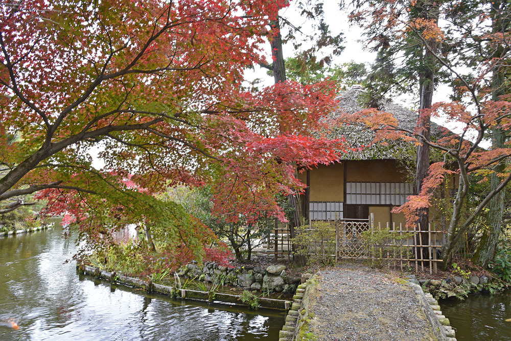 2022年紅葉の旅Ⅺ＋可愛いイルミネーションその２_e0367330_17562598.jpg