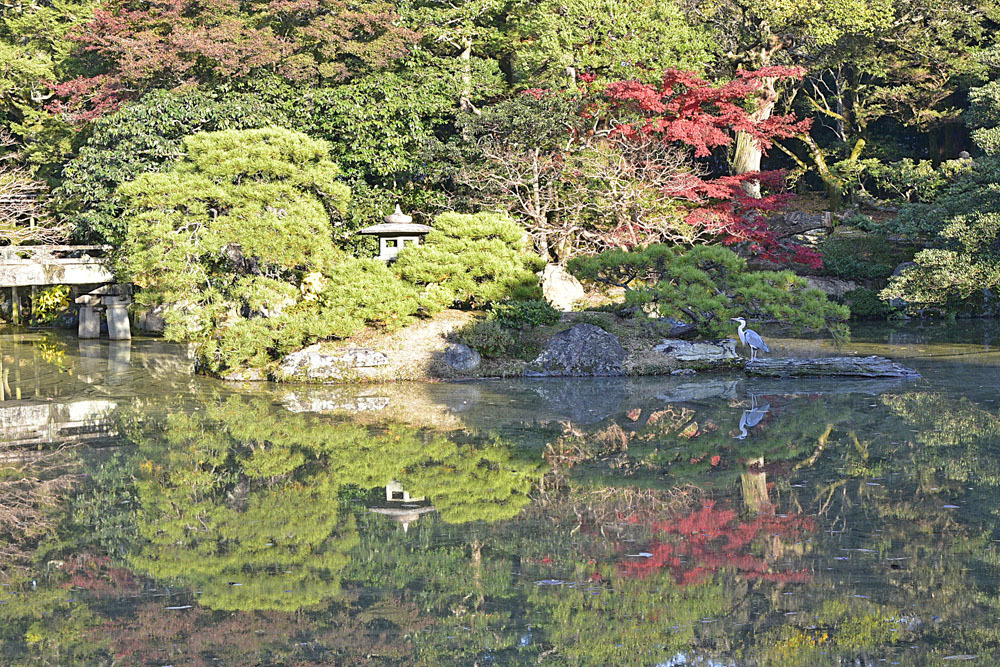 2022年紅葉の旅Ⅺ＋可愛いイルミネーションその２_e0367330_18071890.jpg