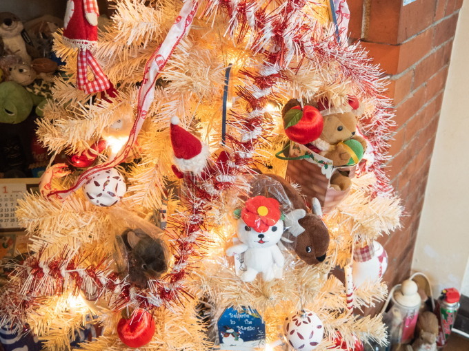 今年も白いクリスマスツリー!大雪で外はもっと真っ白!_f0276498_23135613.jpg