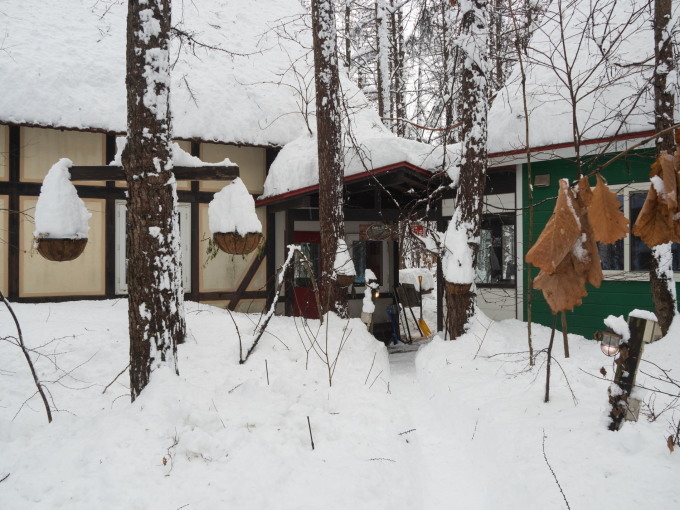 今年も白いクリスマスツリー!大雪で外はもっと真っ白!_f0276498_23150172.jpg