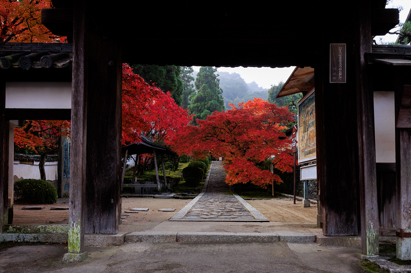 2022紅葉煌めく京都　酬恩庵・一休寺の秋（参道編）_f0155048_20485886.jpg