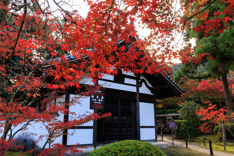 2022紅葉煌めく京都　酬恩庵・一休寺の秋（参道編）_f0155048_20553525.jpg