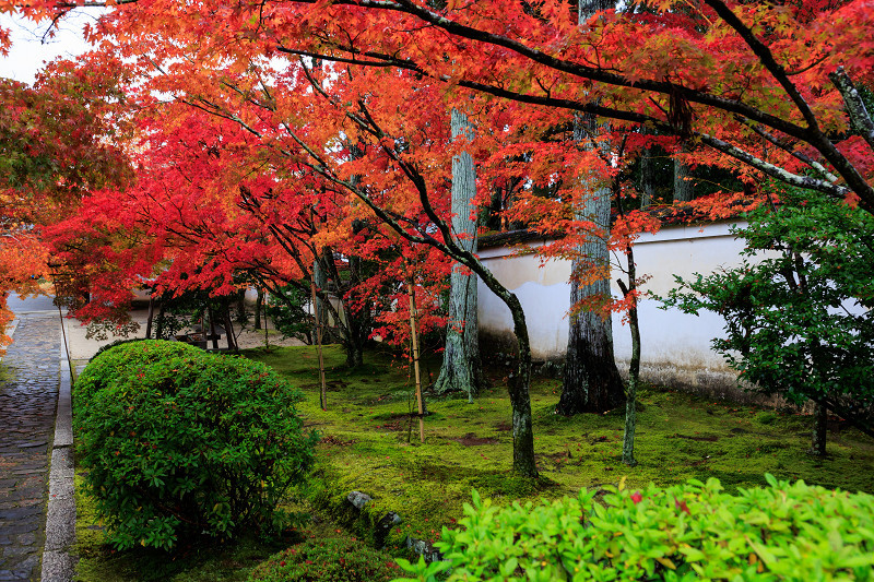 2022紅葉煌めく京都　酬恩庵・一休寺の秋（参道編）_f0155048_20565310.jpg