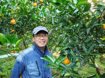令和4年度の究極の柑橘『せとか』は今年も順調に色づきました！ただし収穫及び出荷は令和5年2月中旬より！_a0254656_17565065.jpg