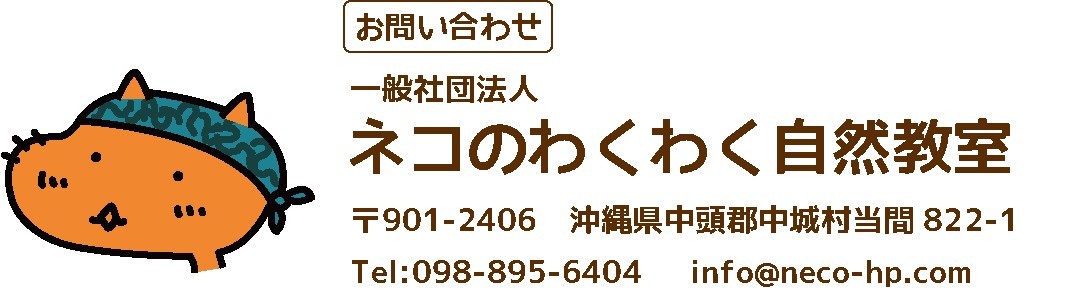 軽石から学ぶ体験プログラム集（軽石のふしぎ講座）_d0363878_20364205.jpg